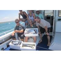 offshore reef or sport fishing charter from cronulla