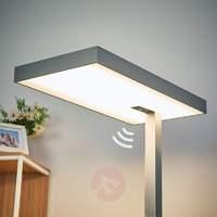 Office LED floor lamp Nora with motion detector