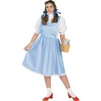 Official Dorothy Wizard of Oz Costume - Plus Size