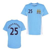 Official Man City Training T-Shirt (Sky Blue) (Fernandinho 25)