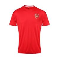 Official Arsenal Training T-Shirt (Red)