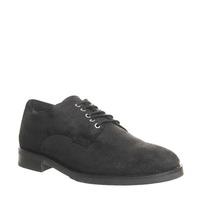 Office Cage Derby BLACK WAXY SUEDE