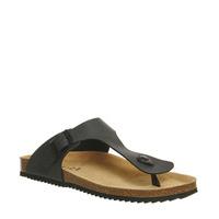 Office Delhi Toepost Sandal CHARCOAL