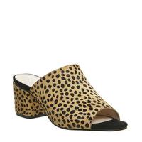 office madness block heel mule sandals cheetah cow hair