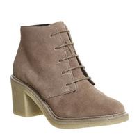 Office Lulu Lace Up Ankle Boots TAUPE SUEDE