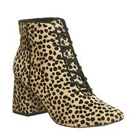 office lippy flared heeled lace ups cheetah cow hair