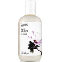 ogario london revive and shine conditioner