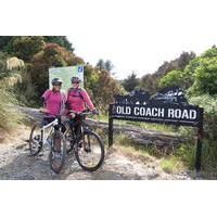 Ohakune Old Coach Road Mountain Bike Adventure
