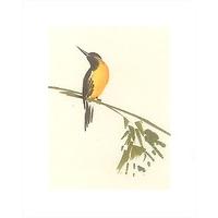 Oiseaux By Aurore de la Morineri...