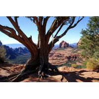 Old Bear Wallow Tour from Sedona