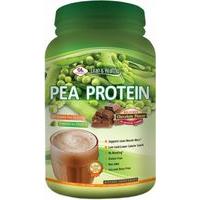 Olympian Labs Pea Protein 20 Servings Rich Chocolate