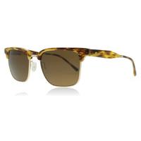 Oliver Peoples Ajax Sunglasses Tortoise-gold 14183 Polariserade