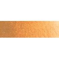 Old Holland : New Masters Acrylic Paint - 250ml pot - Raw Sienna