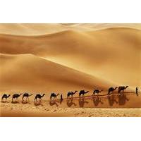 Oman Classic 6-Day Tour From Muscat