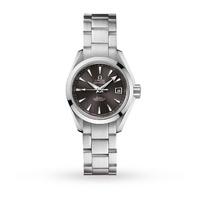 omega aquaterra ladies watch