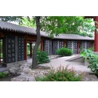 One Day Historic Tour of Shaanxi Provincial History Museum - Xi\'an Museum - Stele Forest Museum