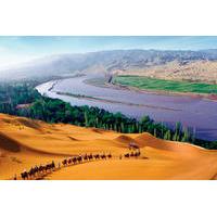 One-Day Tour: Shapotou Scenic Area From Yinchuan