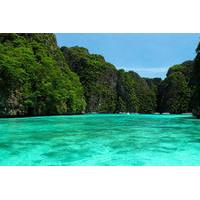 one way arrival transfer from phuket airport to phi phi island by ferr ...