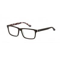 oneill eyeglasses o neill ash 103