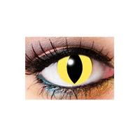 one day cat eye cosmetic lenses