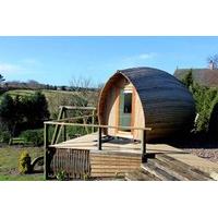 One Night Stay in a Glamping Pod at Westwood Hideaway