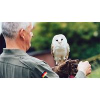 one hour woodland walk at lee valley park farms