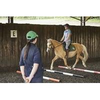 One Hour Horse Riding Experience - UK Wide