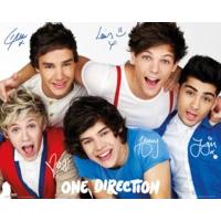 One Direction Colours Mini Poster