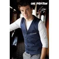 one direction maxi poster