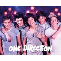 One Direction On Stage Mini Poster