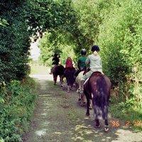 one hour horse riding experience uk wide