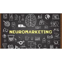 Online Course in Neuro Marketing