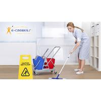 Online British Cleaner Certifica...