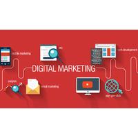Online Digital Marketing Diploma