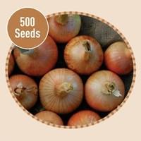 Onion Ailsa Craig 500 Seeds