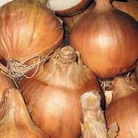 Onion \'Sturon\' - 2 x 250g onion set packs