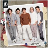 One Direction 2014 Mini Calendar (mini Calendars 2014)