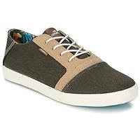 oneill doke low mens shoes trainers in green