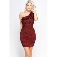 One Shoulder Ruffled Bodycon Dress