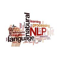 Online NLP Diploma Certification