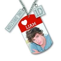 One Direction Liam Tag Necklace