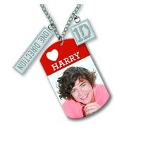 One Direction - Dog Tag Necklace Harry (in 16 Inch)