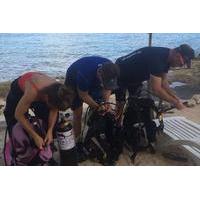 Open Water Certification Course in Cozumel