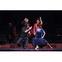 Opera and Flamenco Performance in Barcelona at Teatre Poliorama or Palau de la Música Catalana