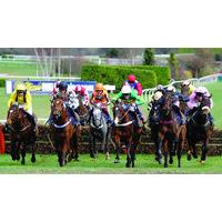 Open Meeting, Cheltenham Racecourse: 2-Day Admission, Coach Transfers and Half-Board Stay