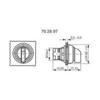 Option key Black 1 x 90 ° RAFI 1.30073.520 1 pc(s)