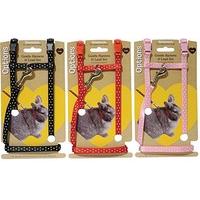 Options Small Animal Harness & Lead Set Polka Dot Large (Pack of 3)