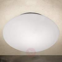 Opal Ceiling Light Glass 37 cm