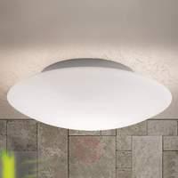 Opal Ceiling Light Glass 45 cm