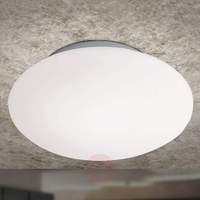 Opal Ceiling Light Glass 25 cm